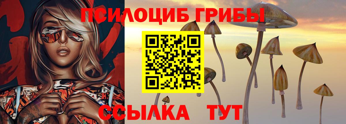 Домодедово  Галлюциногенные грибы ЛСД  Вход с VPN 