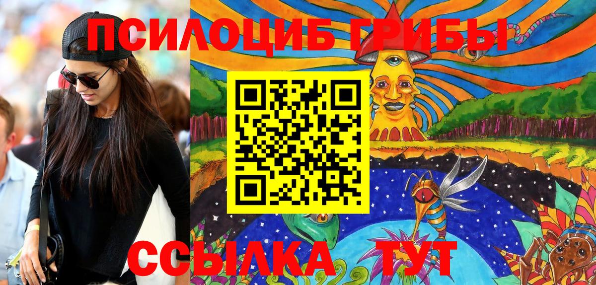 Псилоцибиновые грибы мицелий  Домодедово 